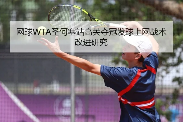 wang-qiu-sheng-he-sai-zhan-gao-fu-duo-guan-fa-qiu-shang-wang-zhan-shu-gai-jin-yan-jiu-3-452.jpg